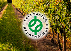 Freudenberger Weinbaubegrünung M3